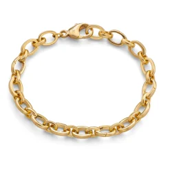 Audrey Link Charm Bracelet in 18K Yellow Gold
