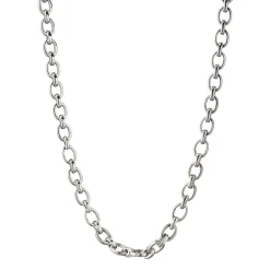 Audrey Link Charm Necklace in Sterling Silver