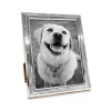 Beaded Pinstripe Silver Frame