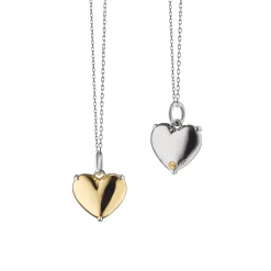 Heart of Gold Two-Tone Charm Necklace