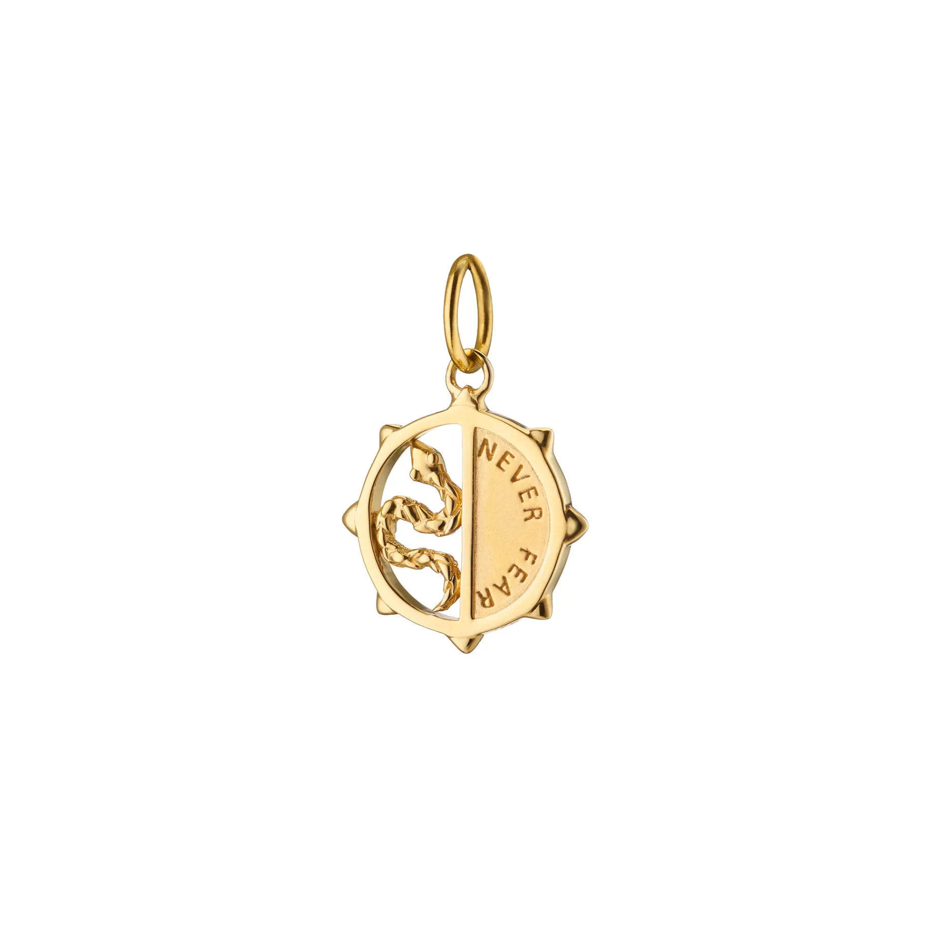 Mini "Never Fear" Snake Medallion