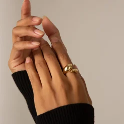 Perseverance Fish 18K Gold Ring