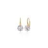 Two-Tone Points North “Polaris” Earrings with Rock Crystal