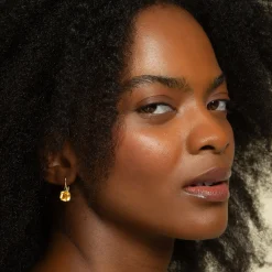 Two-Tone Points North “Polaris” Earrings with Citrine